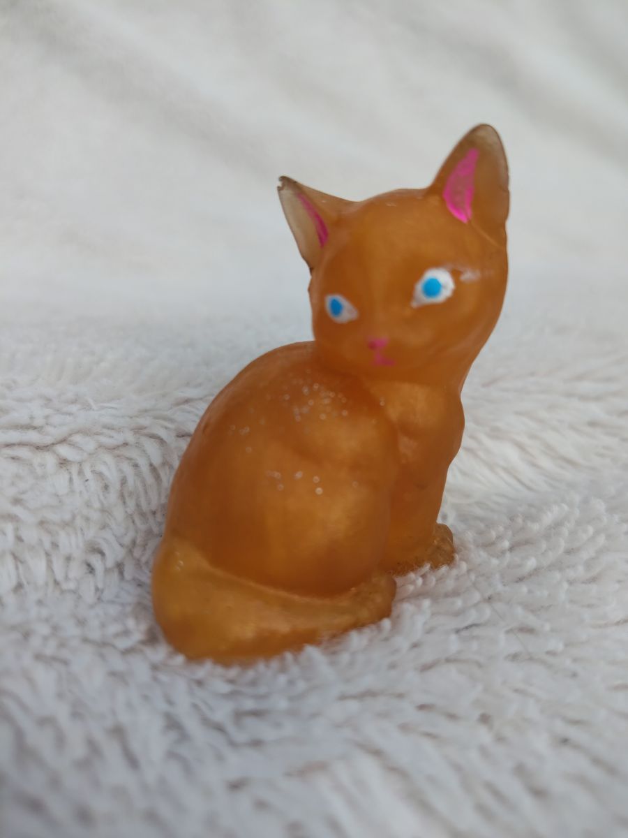 Kočka