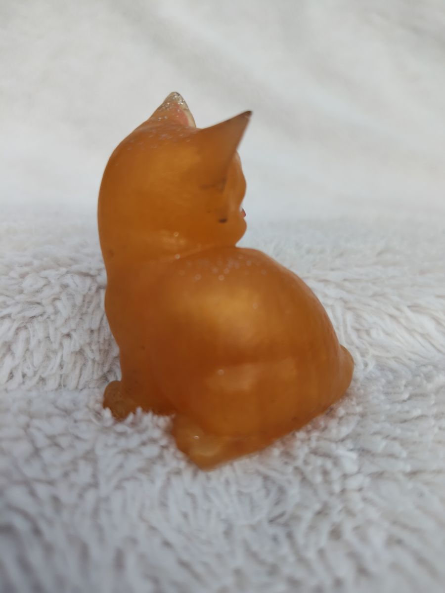 Kočka