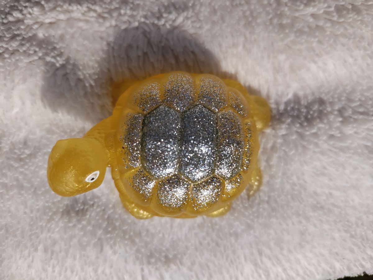 Želva